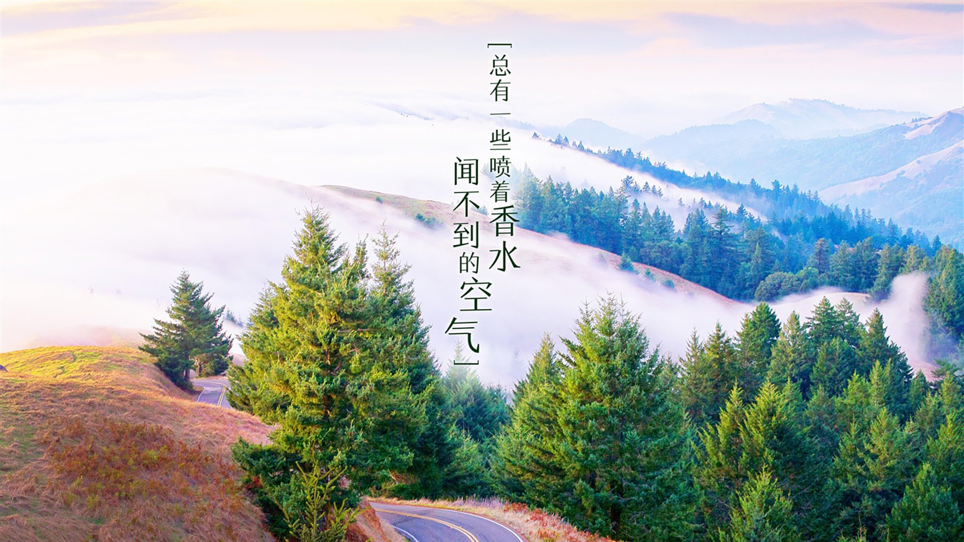 篮球裁判技术水平提升培训课程启动，篮球裁判培训内容