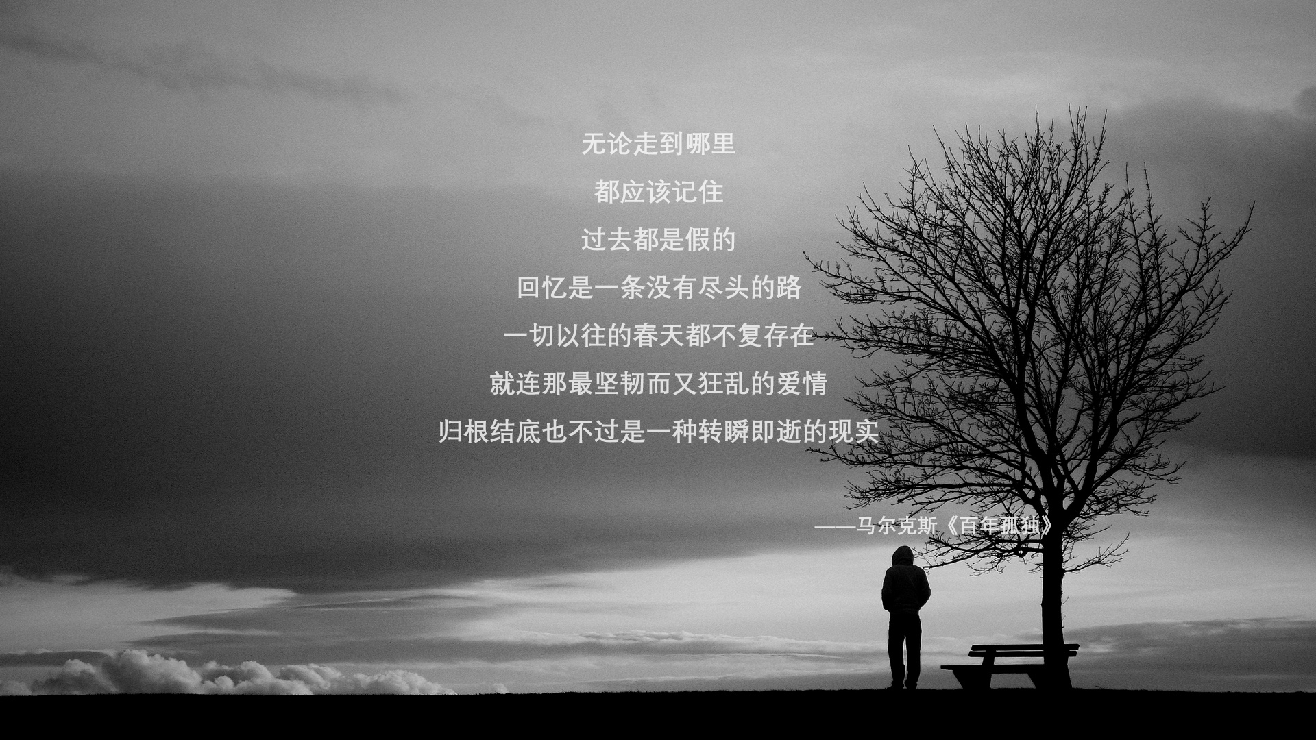 中超球队加强球探体系建设，球探比分中超